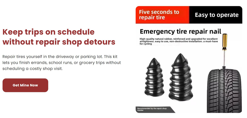 QuickFix Tire Plug Kit